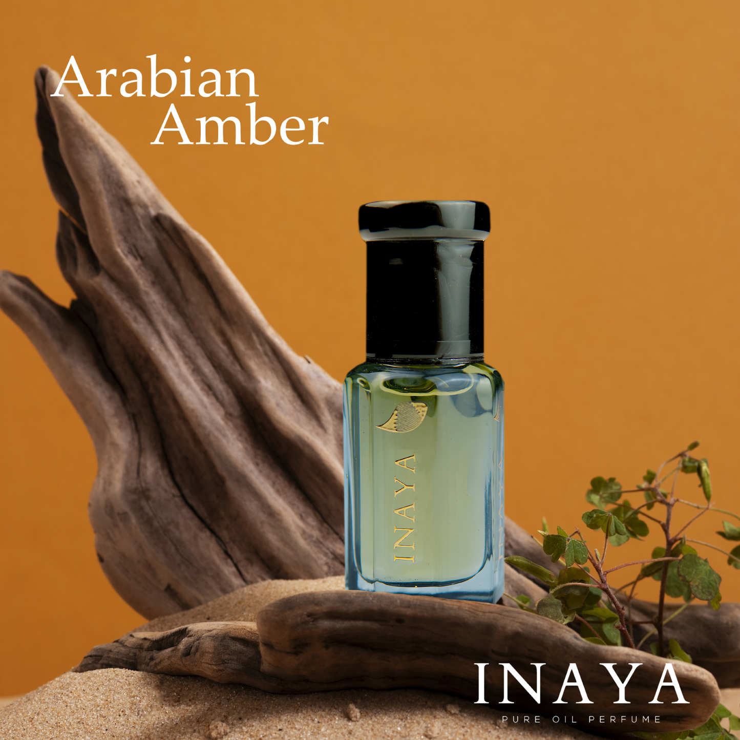 Arabian Amber